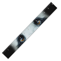 SN-001-074_12in_Ruler_Eyes.png