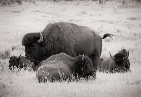 _MG_51672_edited-1.jpg