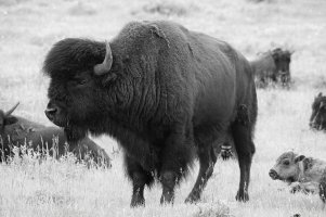 _MG_5172_edited-2.jpg