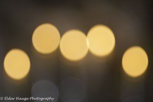 _D7T5198.jpg