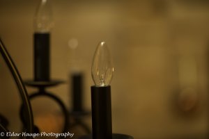 _D7T5239.jpg