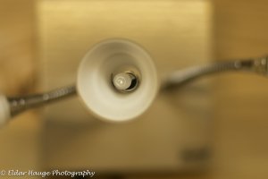 _D7T5240.jpg