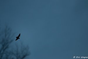IMG_4982.JPG