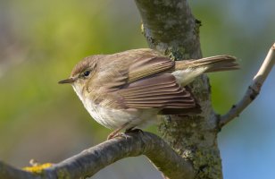 13881987494_4a01673aa8_b (1).jpg