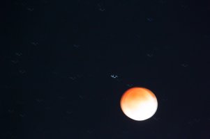Lunar Eclipse Bad-1.jpg
