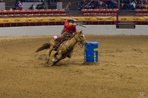 Rodeo_Cowboymountedshooting-small-1.jpg