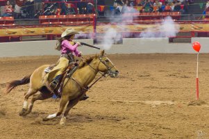 Rodeo_Cowboymountedshooting-small-3.jpg