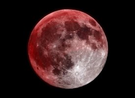 RED MOON-2.jpg