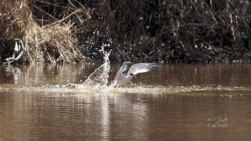 r1080 Apr 17 2014 dated signed_MGL0179.jpg