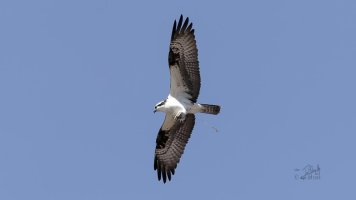 r1080 Apr 17 2014 dated signed_MGL0122.jpg