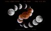 Total Lunar Eclipse April 2014 - Full Series 2.jpg