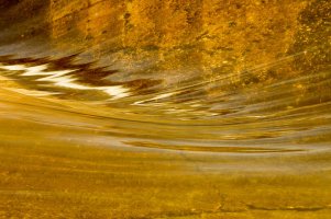 _MG_1272_edited-1.jpg