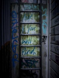 Look & you will find.jpg