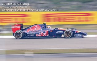 SF1- 100% Crop RB.jpg