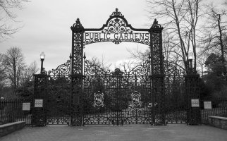 PublicGardens2_CR_4812.jpg