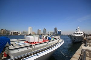 IMG_0615.JPG