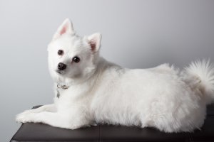 April 2014 018-1.jpg