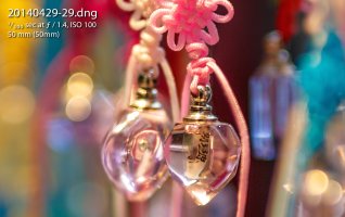 siggy 50 bokeh 100%.jpg