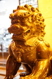 20140429-17.jpg
