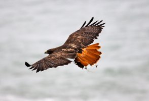 IMG_2788 - Version 2.jpg