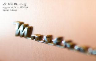 siggy 50 AF crop1.jpg