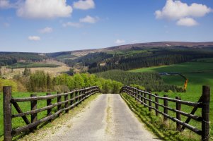 Slieve Bloom Mountains (1).jpg