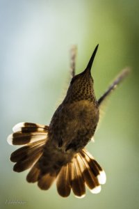 untitled (120 of 131).jpg