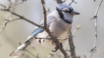 r1080 May 8 2014 dated signed_MGL0032.jpg