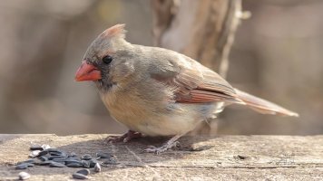 r1080 May 8 2014 dated signed_MGL0088.jpg