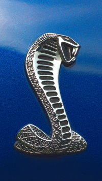 tmp_Cobra-logo-scaled-shrunk-240359584.jpg