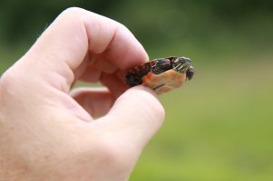 IMG_3303.jpg