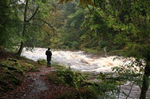 The Strid in Flood740.jpg