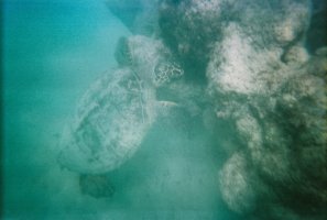0142740-R1-050-23A.jpg