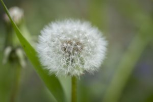 IMG_3991.JPG