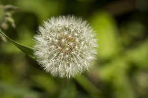 IMG_3988.JPG