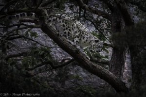 _D7T9121-3.jpg
