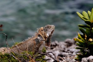 IMG_0496-2.jpg