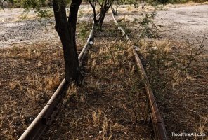 tracks.jpg