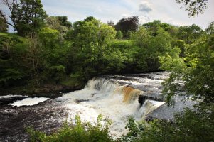 Aysgarth Middle Falls.jpg