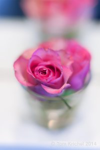 Rosen_ITK0541 V2.JPG