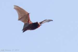 IMG_2707.jpg