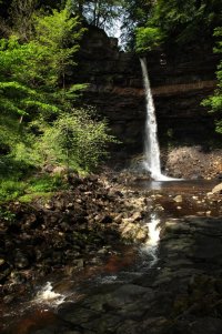 Hardraw Force.jpg