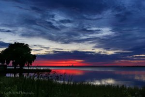 Blues Escape-4622-2.JPG