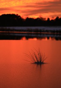 Sunset on Snow Day-16.jpg