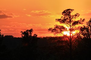 Fire in the Sky 003.jpg