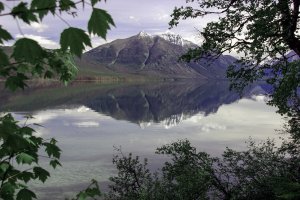 Glacier National Park-- June 2005 (2) 032.5.jpg