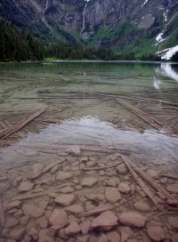 Glacier National Park-- June 2005 128.5.jpg