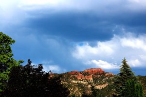 H-IMG_0301.JPG