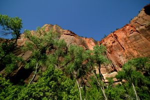 081X0452.JPG