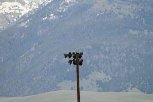 IMG_7340 my lens3.jpg